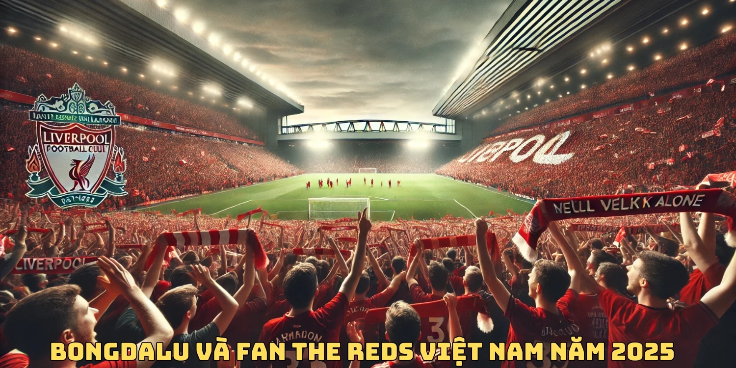 Bongdalu và fan The Reds Việt Nam năm 2025
